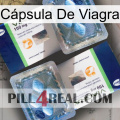 Cápsula De Viagra viagra5